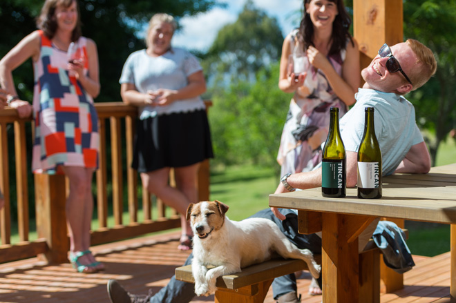 OUR WINES